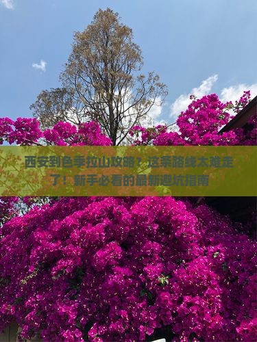 西安到西藏色季拉山攻略